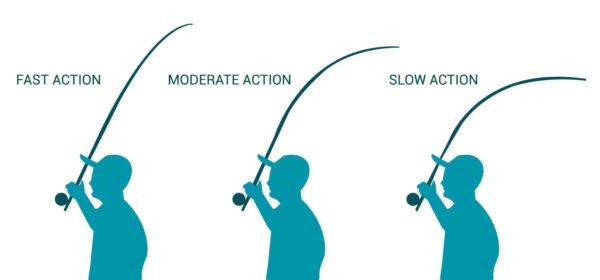 rod-action infographic