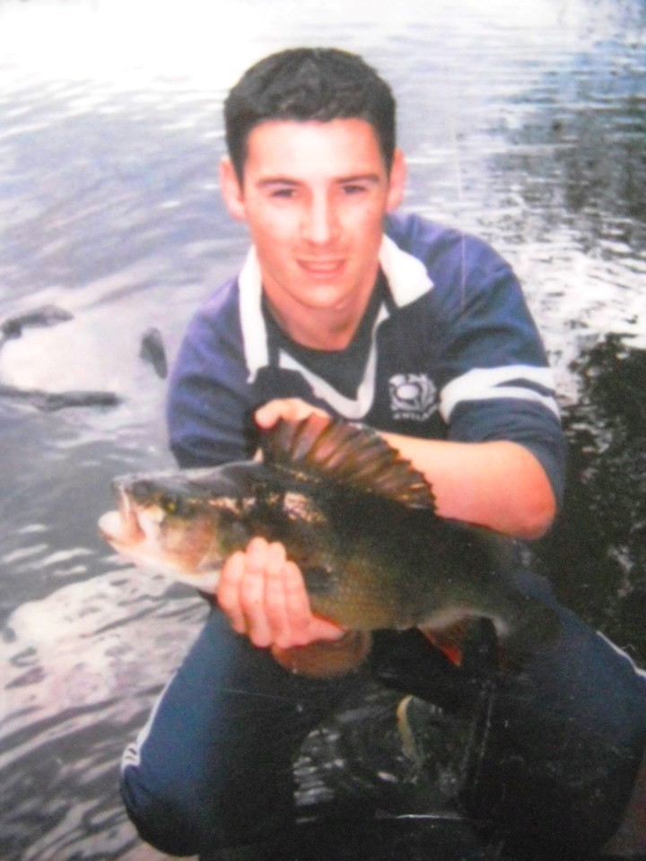 Perch on deadbait