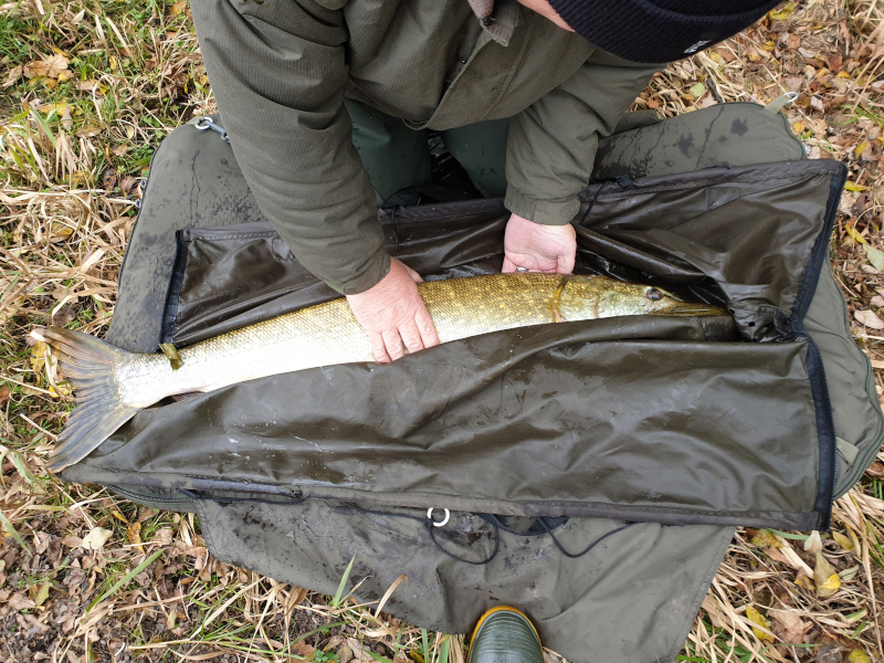 pike on unhooking mat